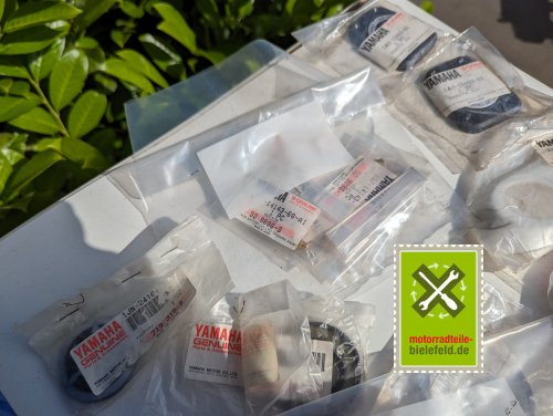 PXL_20240527_150553388